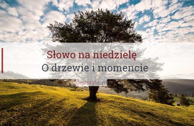 Słowo na niedzielę, o drzewie i momencie